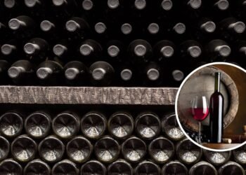 Como saber se uma garrafa de vinho antiga é um tesouro de colecionador