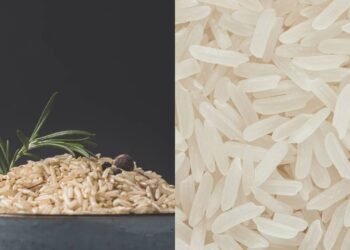 Essa é a diferença real do arroz integral para o arroz branco