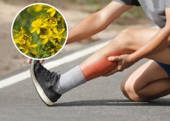 Como aliviar dores e tensões usando ingredientes naturais