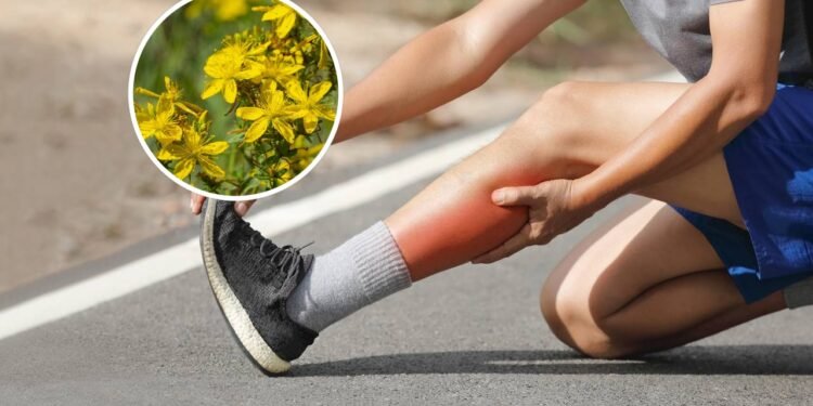 Melhora da circulação e recuperação pós-exercício - Créditos: depositphotos.com / Inventor / Créditos: depositphotos.com / toa55