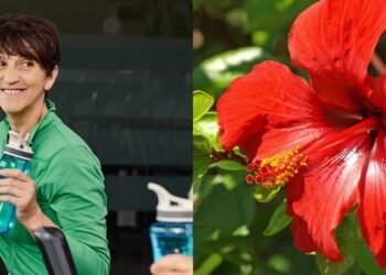 Os chás que limpam as artérias e deixam o coração mais forte e saudável