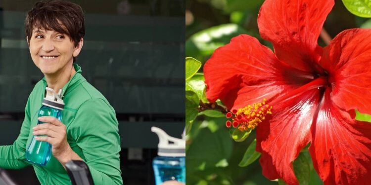 Proteção antioxidante das células cardíacas - Créditos: depositphotos.com / IgorVetushko / Créditos: depositphotos.com / jbouzou