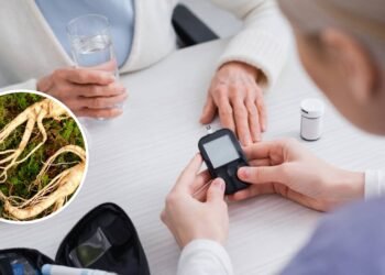 O segredo medicinal para manter a glicose sob controle está nessas plantas