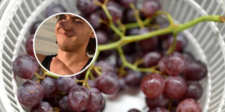 A uva roxa contribui significativamente para a proteção cardiovascular - Créditos: depositphotos.com / Gulnazina / Créditos: depositphotos.com / kuzmire