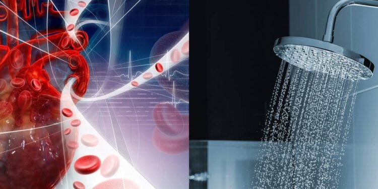 O efeito de tomar banho alternando quente e frio na circulação sanguínea