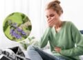 O chá dessa erva pode ser a solução natural para enjoo e mal-estar