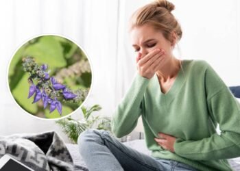 O chá dessa erva pode ser a solução natural para enjoo e mal-estar