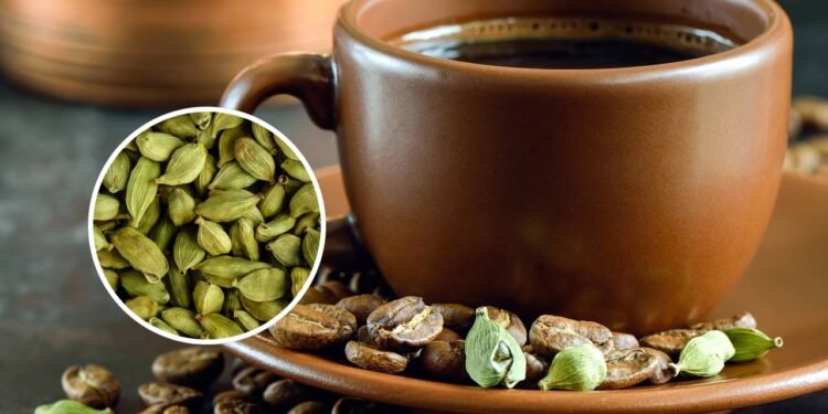 Além disso, seu aroma único pode tornar as refeições ainda mais prazerosas - Créditos: depositphotos.com / fortyforks / Créditos: depositphotos.com / Hihitetlin