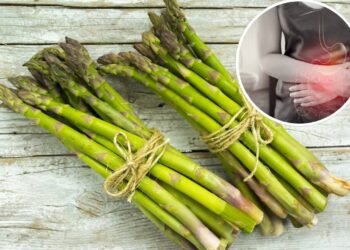 Vegetal tem nutrientes únicos e pode mudar a sua digestão e função renal