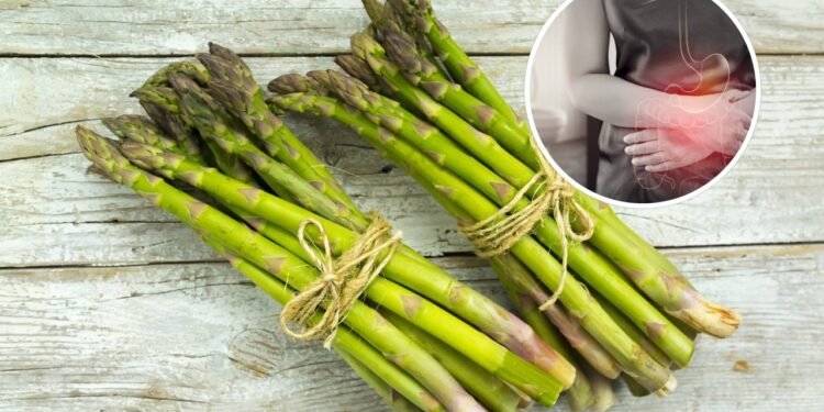 Vegetal tem nutrientes únicos e pode mudar a sua digestão e função renal