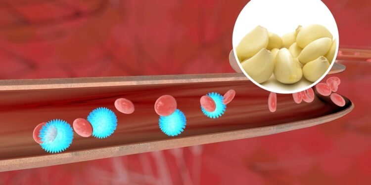 Esse tempero que todo mundo conhece pode aumentar a sua imunidade e circulação sanguínea