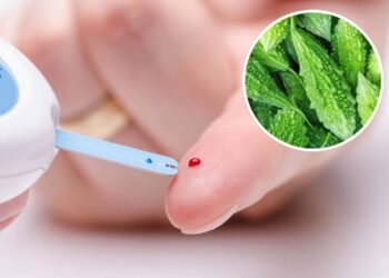 A fruta diferente que ajuda a equilibrar o açúcar no sangue naturalmente