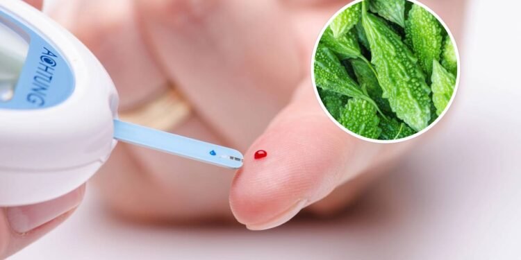 A fruta diferente que ajuda a equilibrar o açúcar no sangue naturalmente