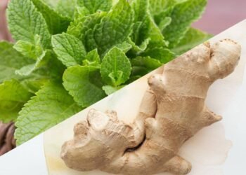 Bebida natural só usa 2 ingredientes e pode aliviar a indigestão e gases