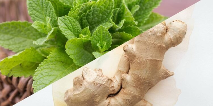 Bebida natural só usa 2 ingredientes e pode aliviar a indigestão e gases