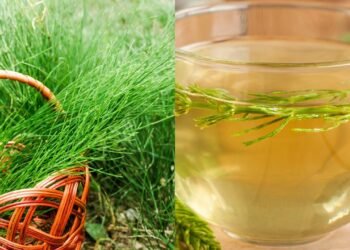 Esse chá famoso ajuda com a retenção de líquidos e melhora a aparencia da sua pele