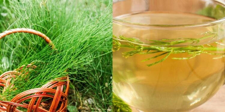 Esse chá famoso ajuda com a retenção de líquidos e melhora a aparencia da sua pele