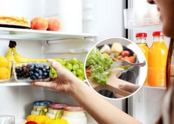 Quanto tempo você deve esperar antes de colocar sobras quentes na geladeira