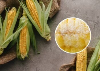 Como congelar milho na espiga para que ainda tenha gosto de verão
