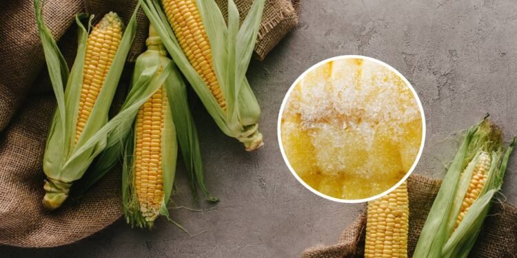 Como congelar milho na espiga para que ainda tenha gosto de verão
