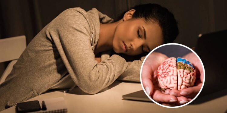 Isso é o que acontece com seu cérebro quando você não dorme direito