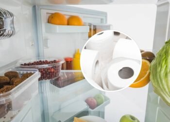 O truque do papel higiênico na geladeira que resolve um problema comum em casa