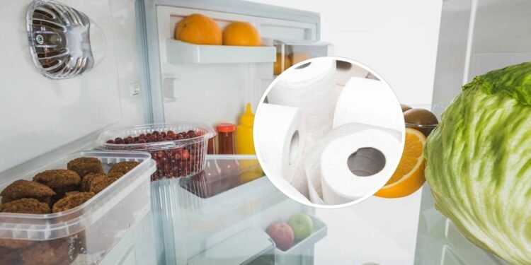 O truque do papel higiênico na geladeira que resolve um problema comum em casa