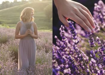 Como uma vela aromática de lavanda pode afetar o seu corpo?