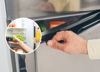 O hábito comum da geladeira a evitar se você quiser que o aparelho dure