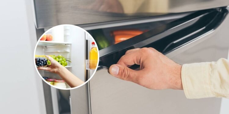 O hábito comum da geladeira a evitar se você quiser que o aparelho dure