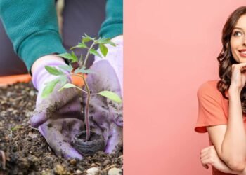 Quais são os hobbies simples que potencializam o bem-estar e a criatividade, segundo estudos