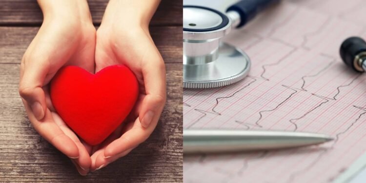Essa é a forma perfeita de manter a sua saúde do coração em dia e ter uma vida saudável