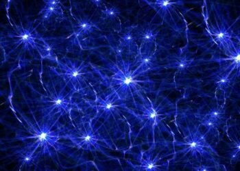 Um neurologista explica três coisas que você pode fazer para melhorar sua memória: “Durma, faça exercícios e mantenha sua mente ativa”.