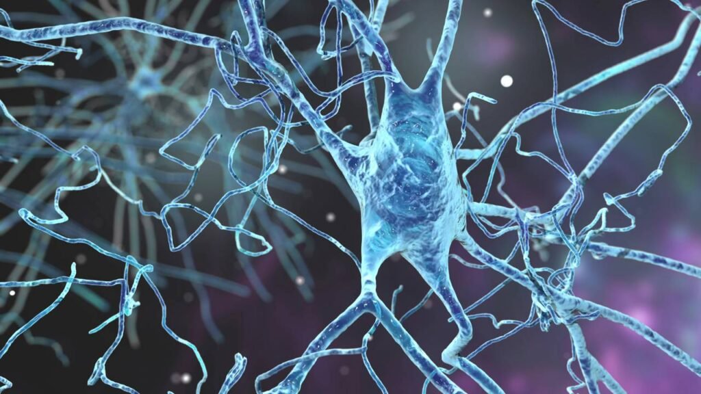 Um neurologista explica três coisas que você pode fazer para melhorar sua memória: “Durma, faça exercícios e mantenha sua mente ativa”.