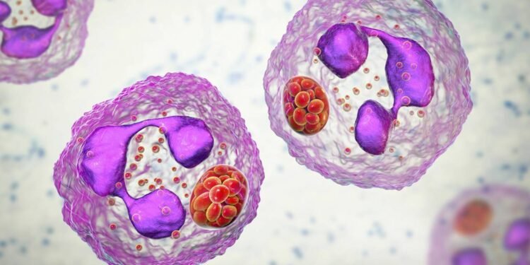 Não é sono nem café! Pesquisas revelam que uma única ação pode melhorar a memória, o tempo de reação e até a massa muscular.