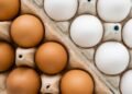 Ovos brancos ou marrons: Mito ou realidade nutricional
