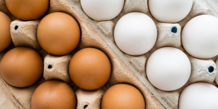Ovos brancos ou marrons: Mito ou realidade nutricional