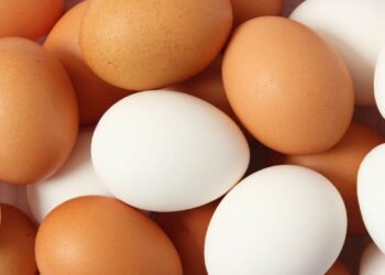 Poucos sabem: como saber se os ovos estão estragados sem quebrá-los