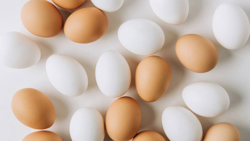 Existe alguma diferença entre ovos marrons e brancos no seu corpo?