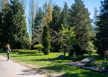 Lugares cientificamente comprovados para melhorar seu humor