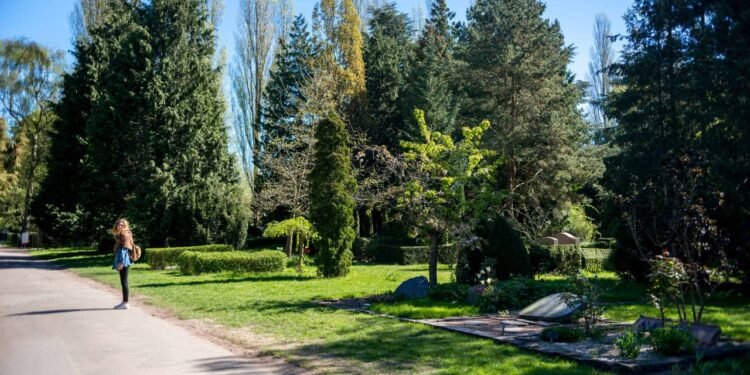 Lugares cientificamente comprovados para melhorar seu humor