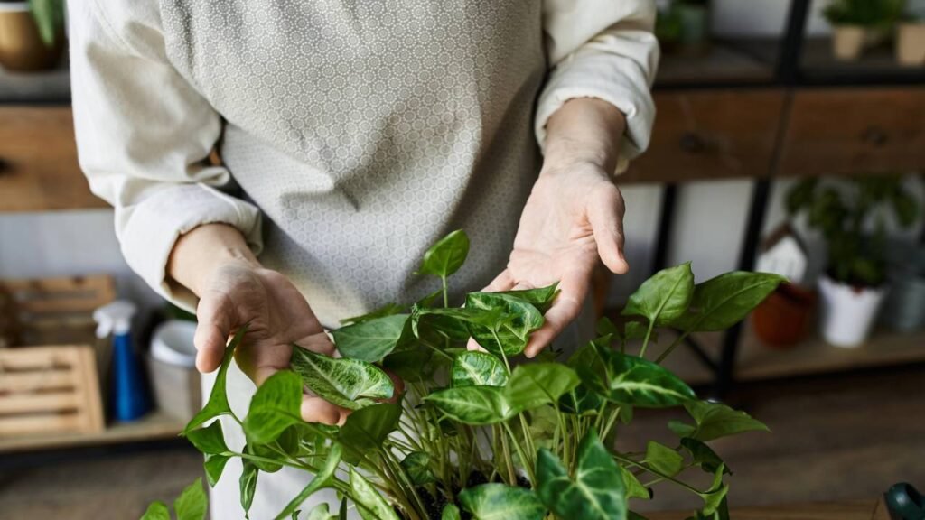 Passatempos simples que realmente retardam o processo de envelhecimento