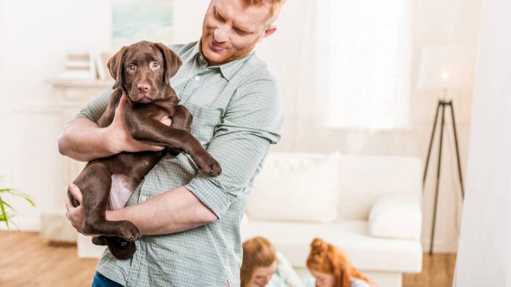 Psicólogos explicam o que significa falar com animais de estimação como se fossem humanos.