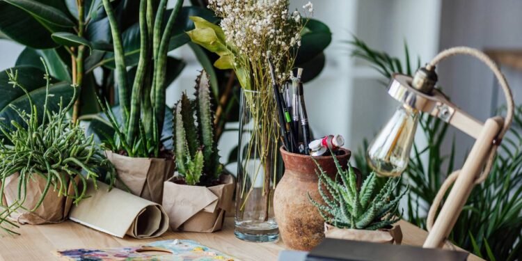 As 5 melhores plantas para purificar o ar e dormir mais saudável