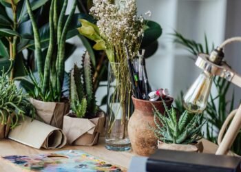 As 5 melhores plantas para cultivar no fim do ano e trazer boas energias