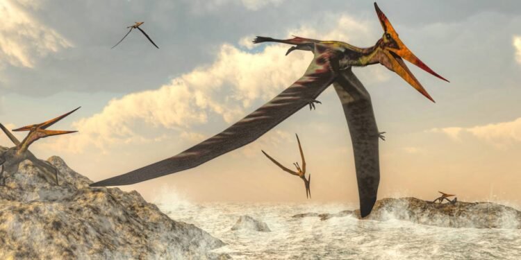 Essa grande descoberta de um fóssil reinventou a história da Síria