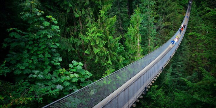 Ela é muito longa e fica suspensa a 70 metros: onde fica a ponte suspensa mais "perigosa" do mundo?