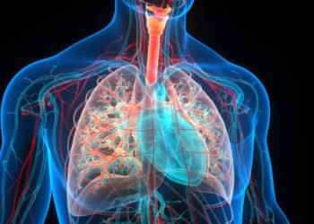 A fruta que reduz riscos de derrame e ainda limpa seu pulmão