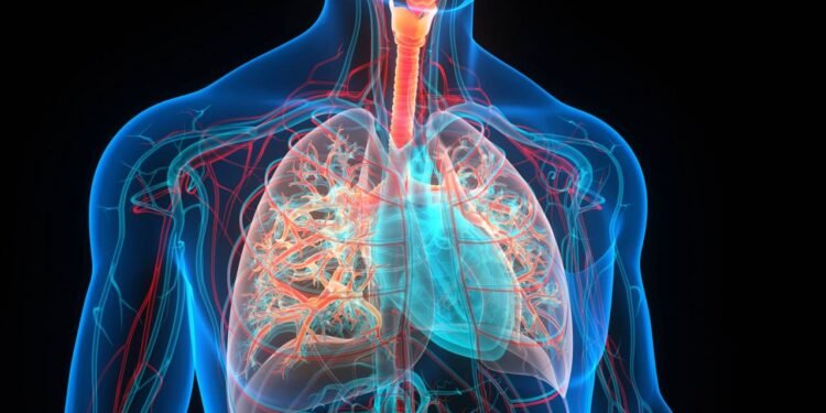 Além disso, a presença de vitamina C contribui para neutralizar radicais livres - Créditos: depositphotos.com / magicmine