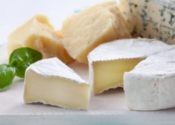 O truque perfeito para manter queijo fresco por mais tempo